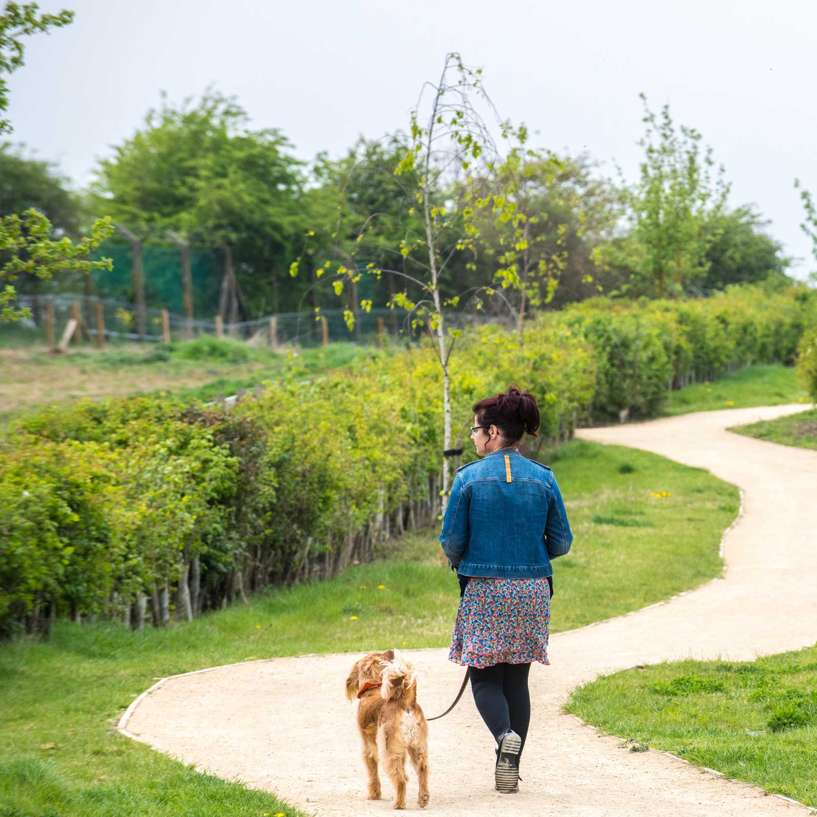 nature trails at houlton